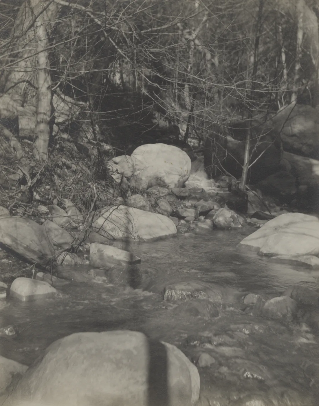 Mission Creek