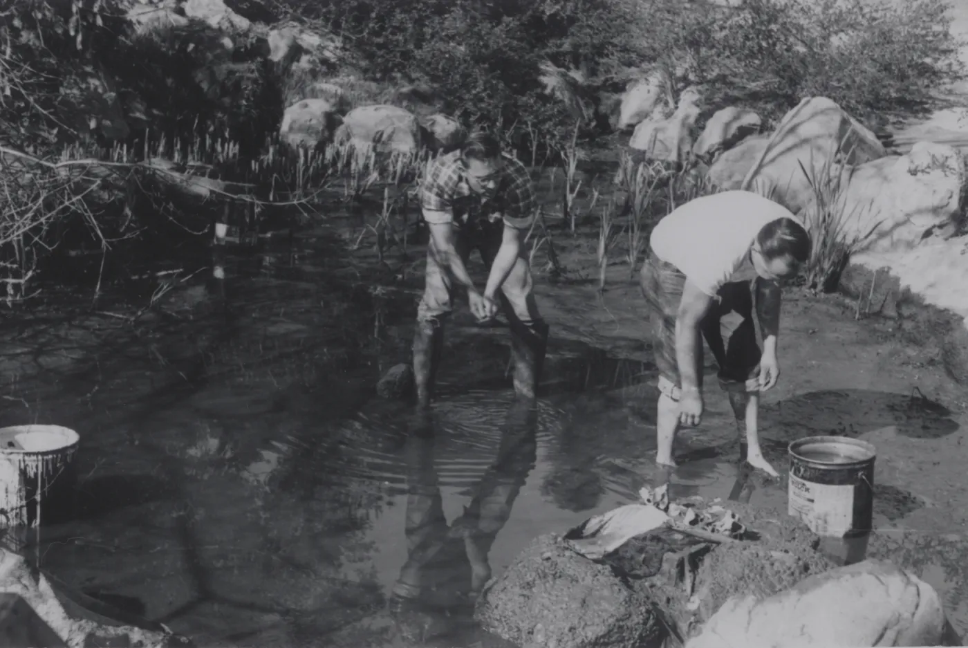 cleaning the fishpond