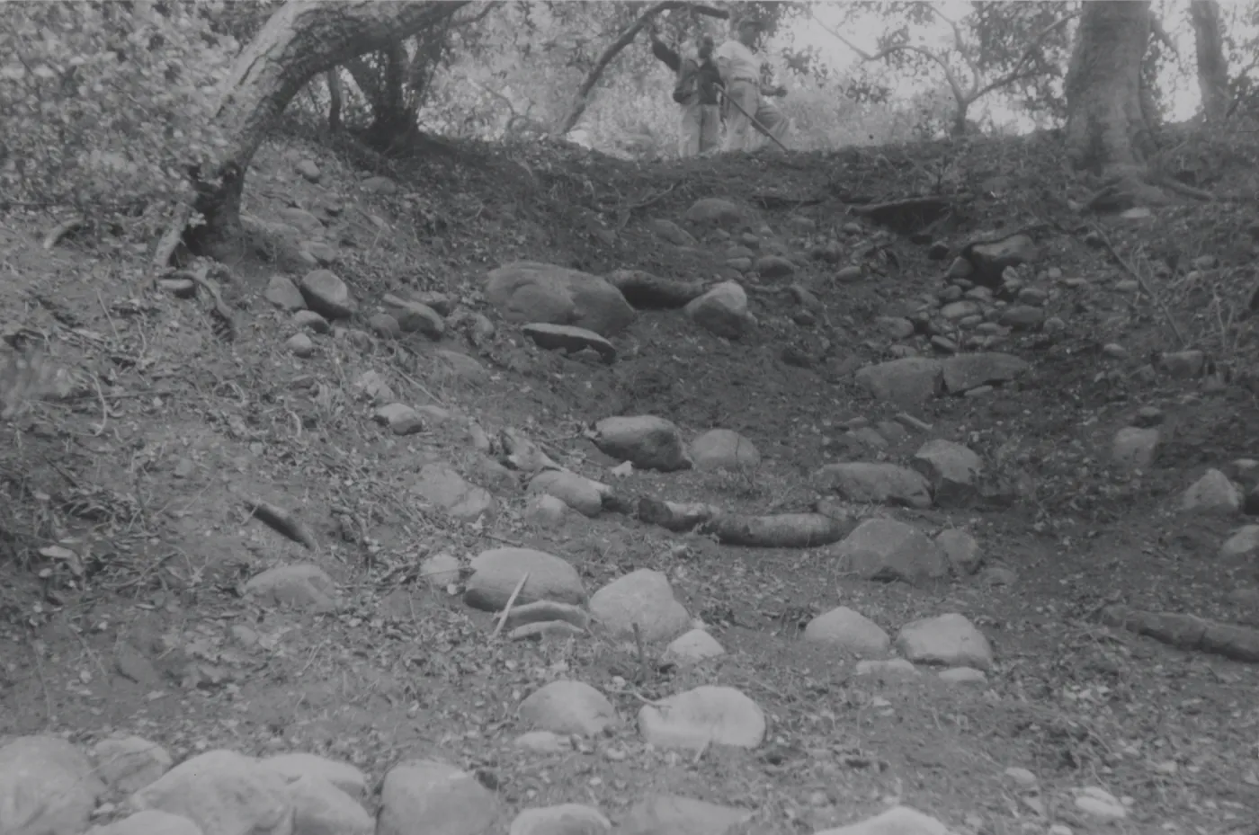 preparing the Indian Steps slope, 1957