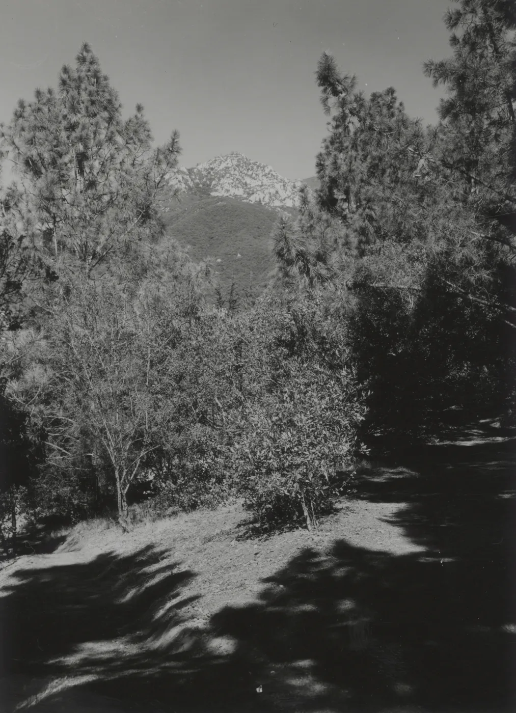 Porter Trail