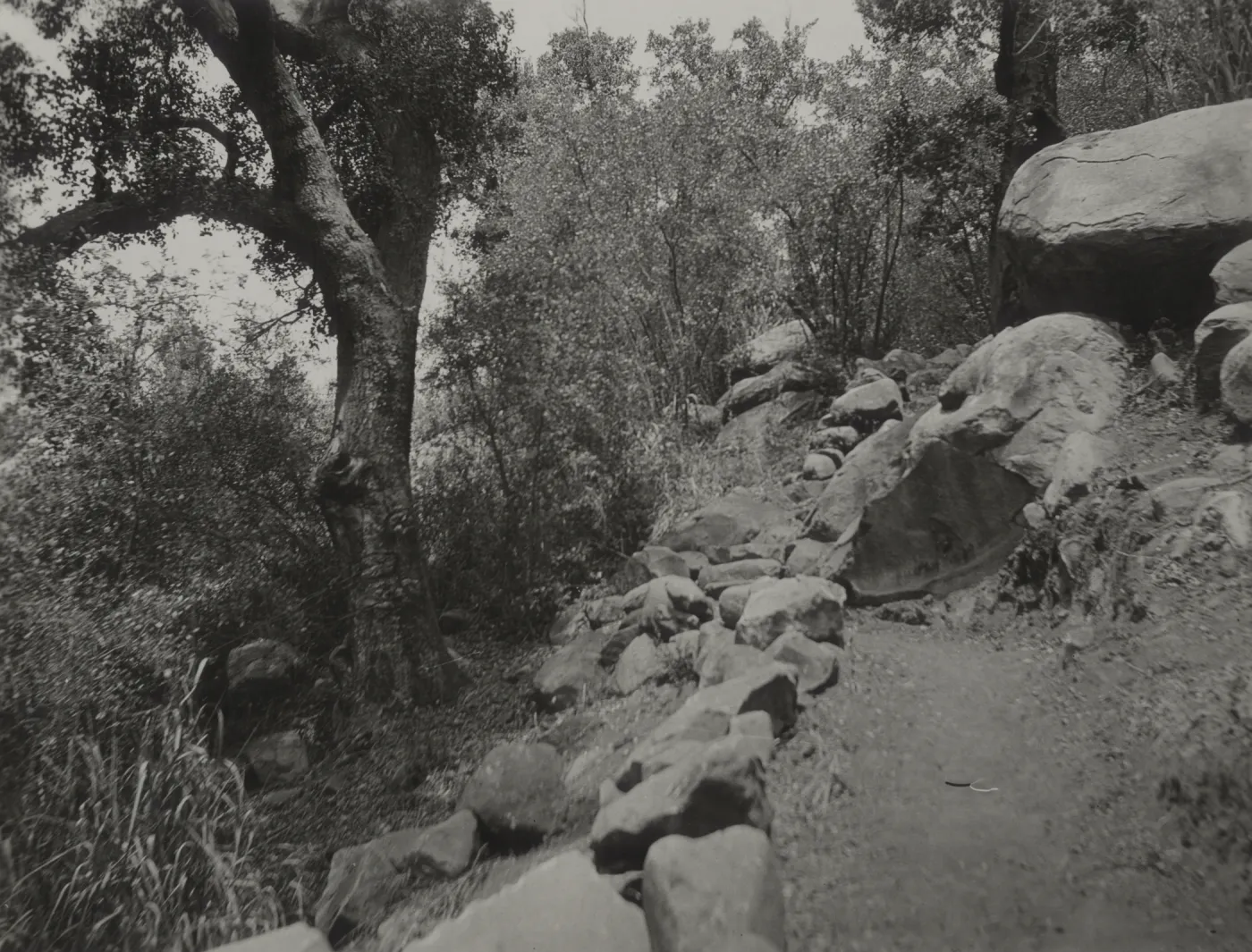 Pritchett Trail