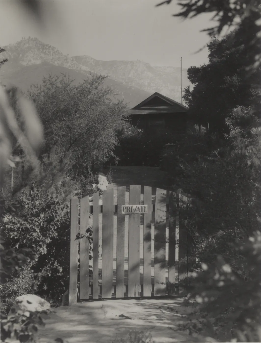 back entrance gate to the Cottage, 1937