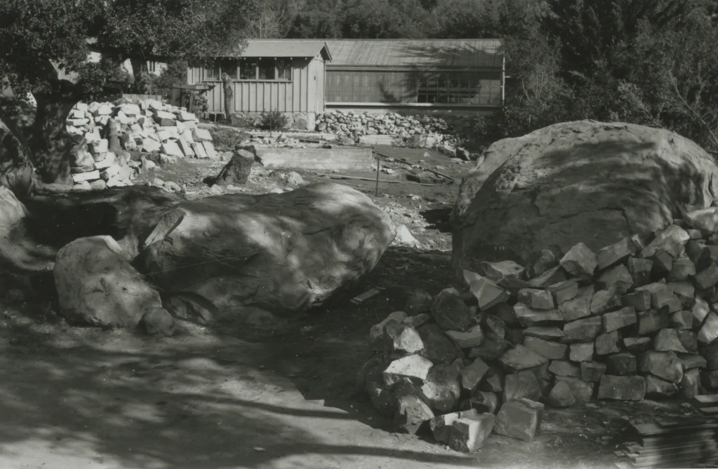 part of the old office and lath house, preparing for construction of the Blaksley Library building