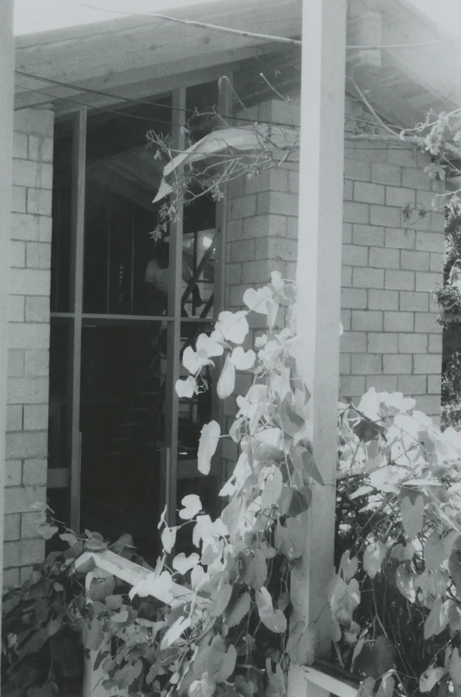 Herbarium construction
