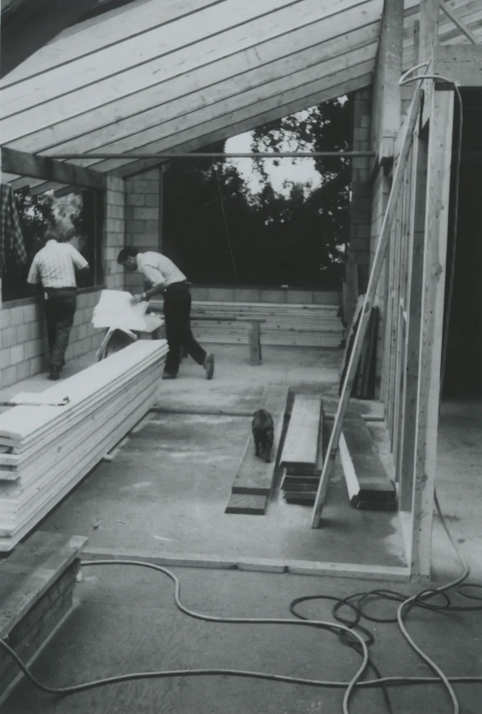 Herbarium construction