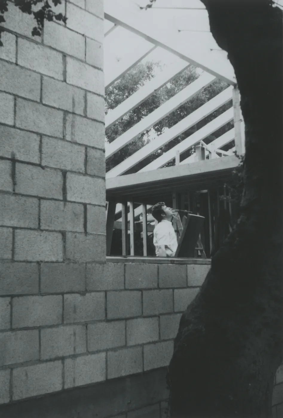 Herbarium construction