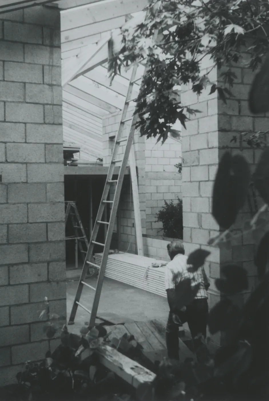 Herbarium construction