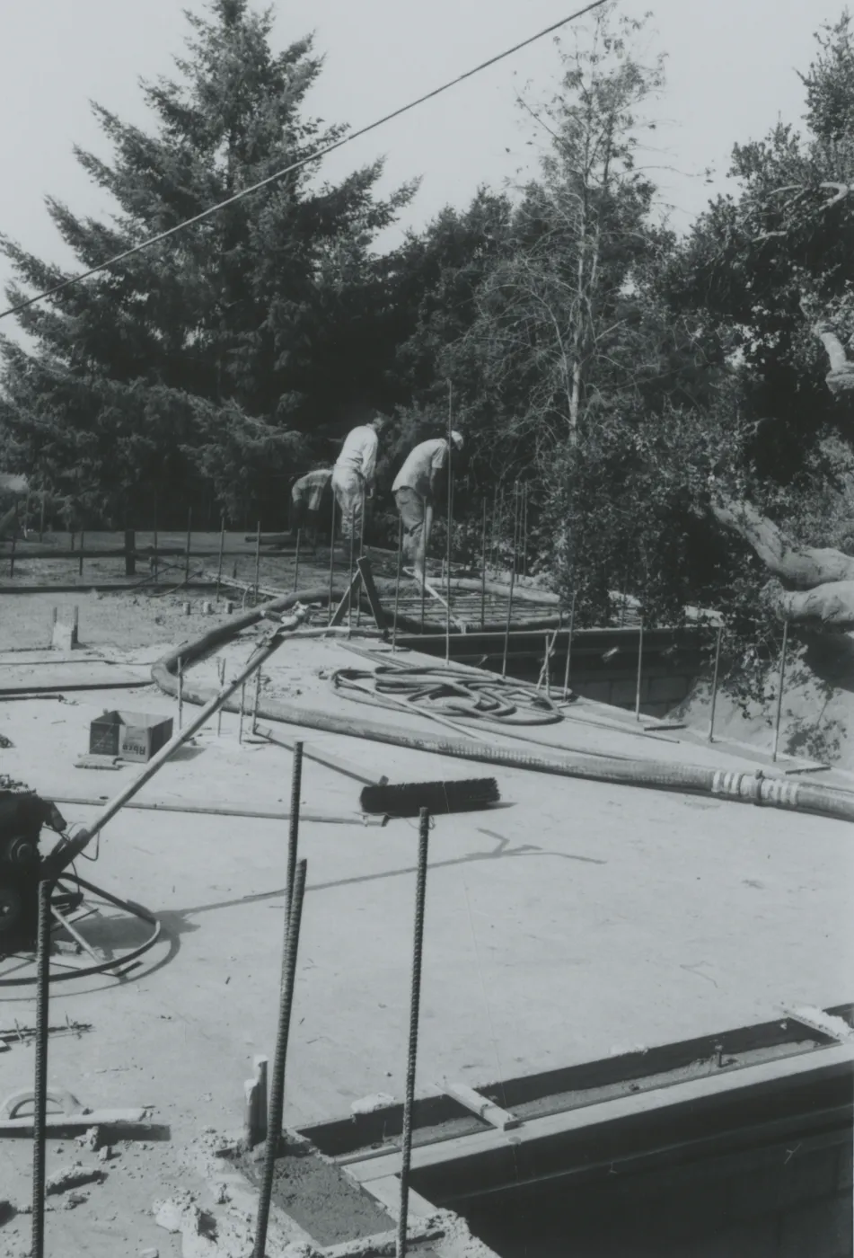 Herbarium construction
