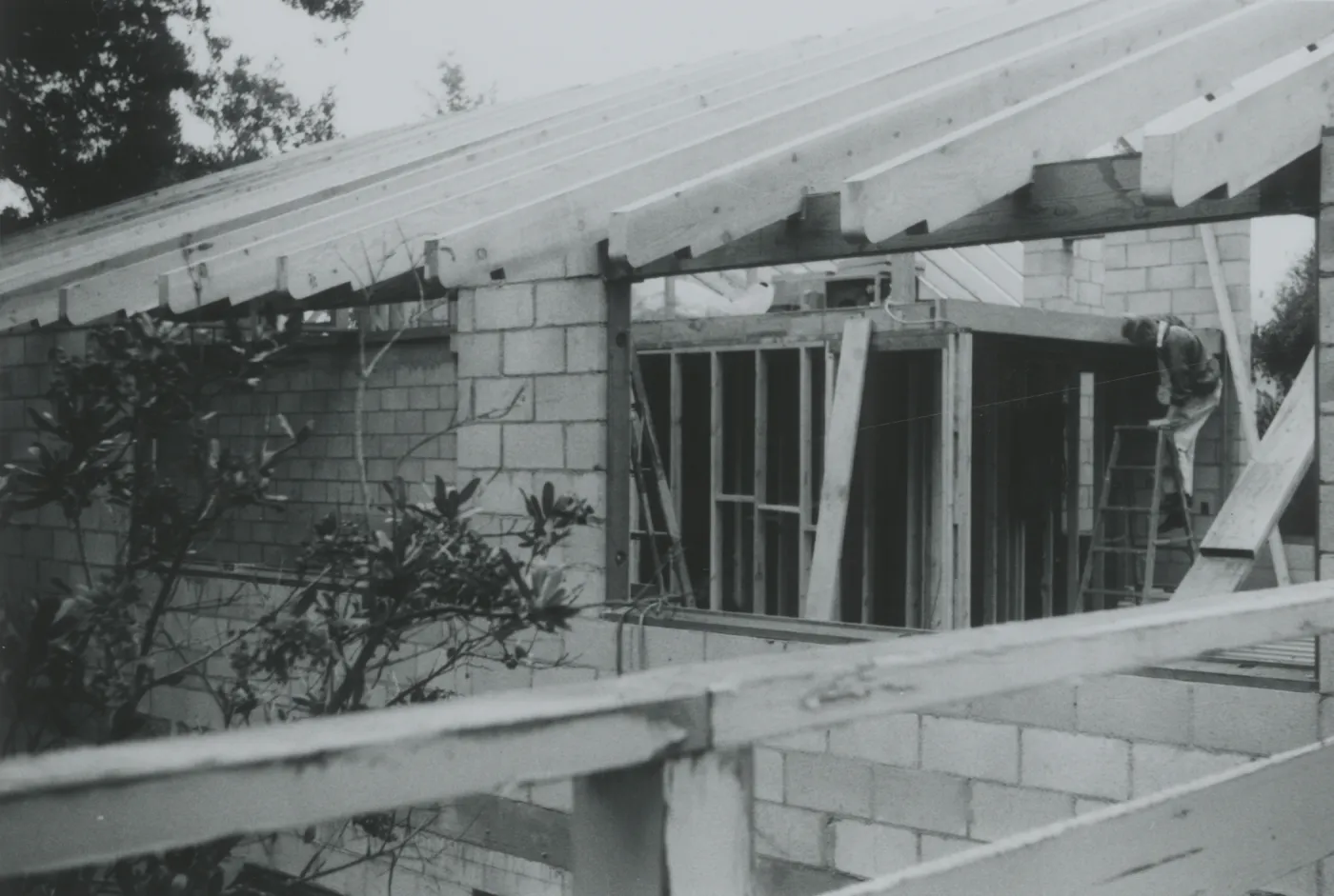 Herbarium construction