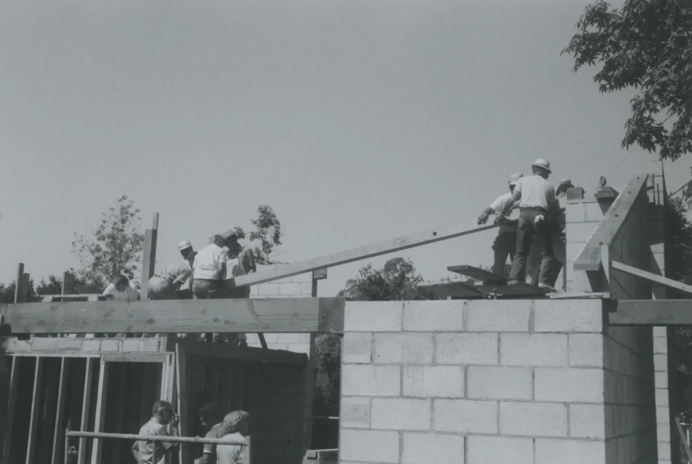 Herbarium construction