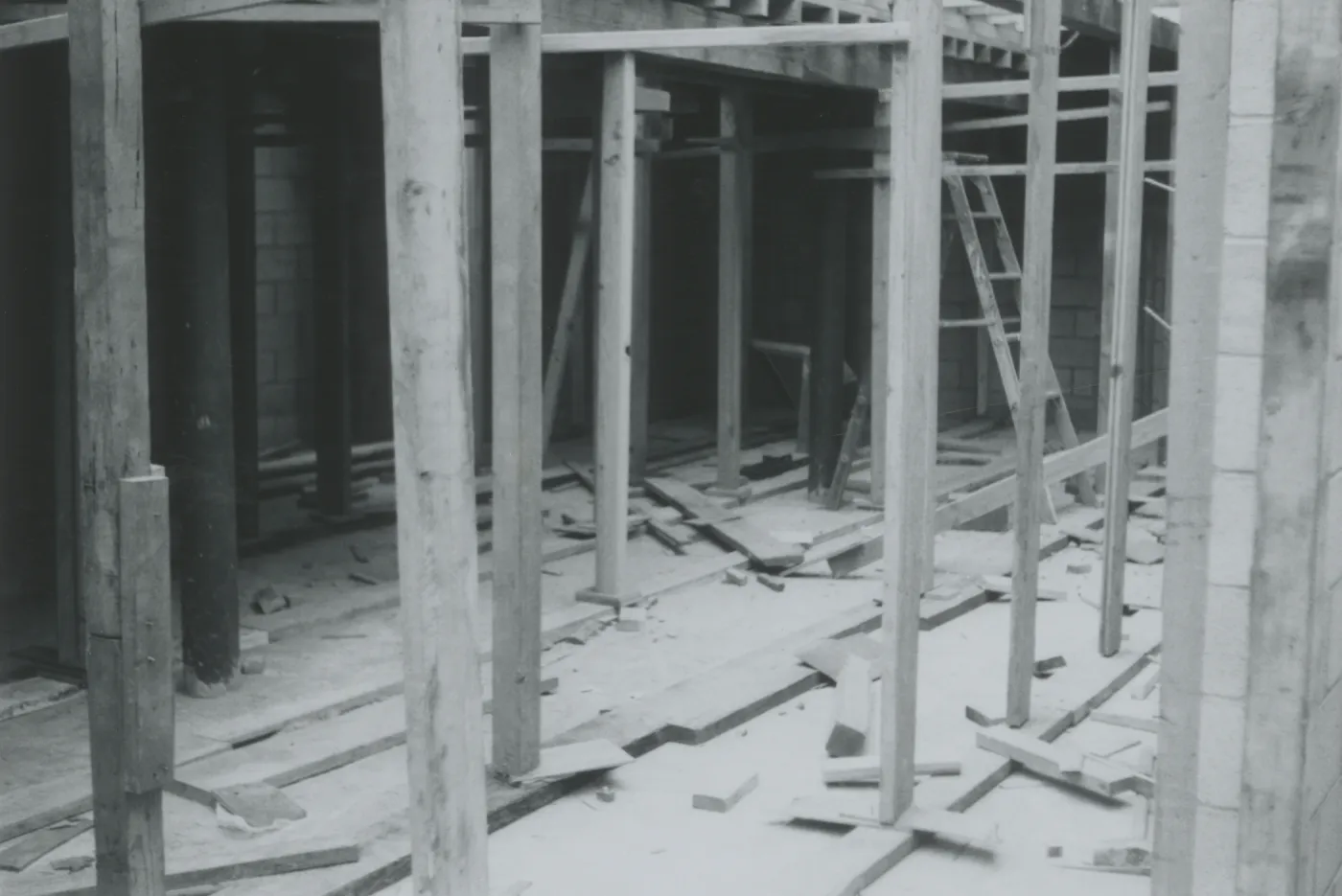 Herbarium construction