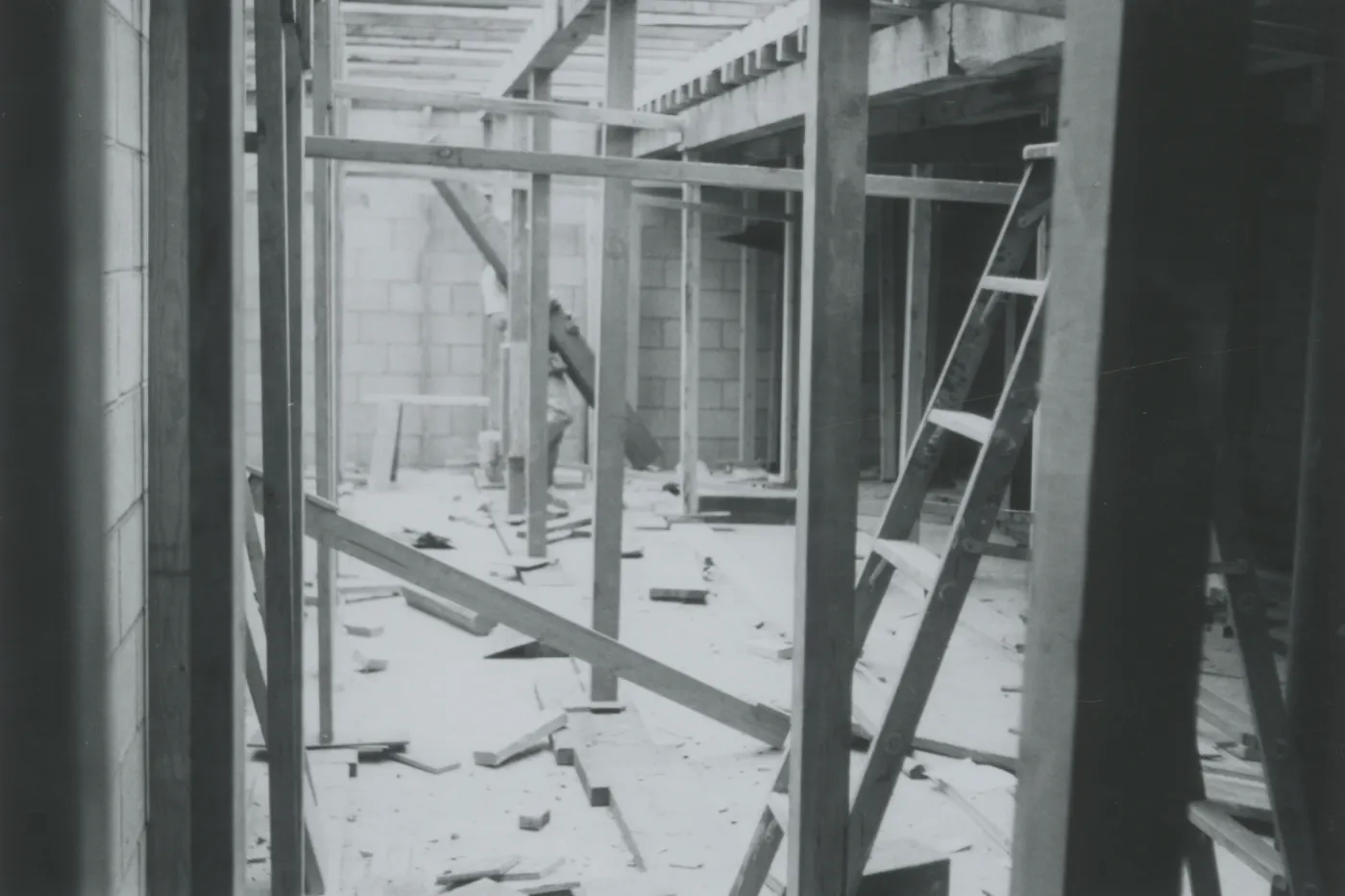 Herbarium construction