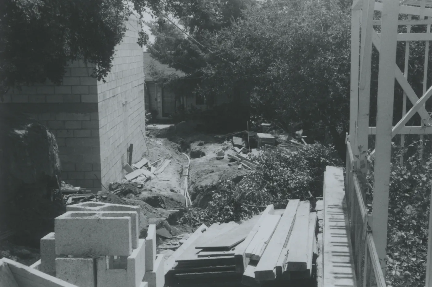 Herbarium construction looking south to cottage