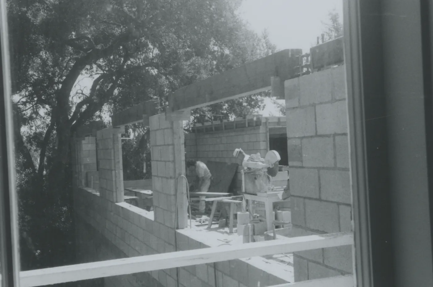 Herbarium construction