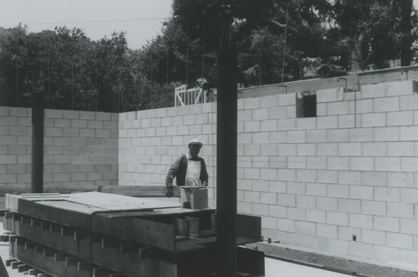 Herbarium construction