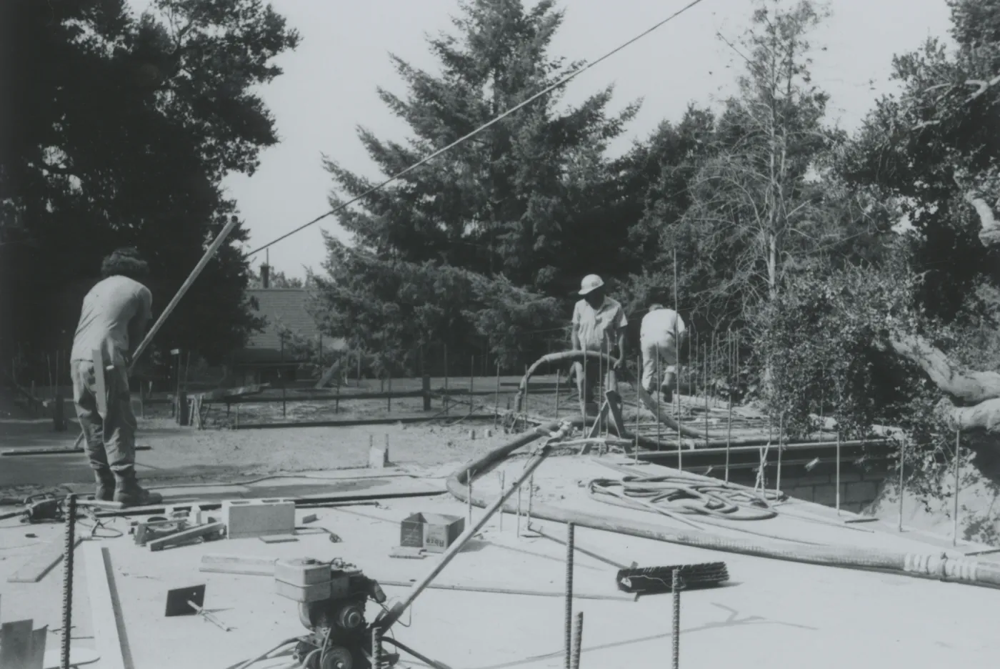 Herbarium construction, second floor
