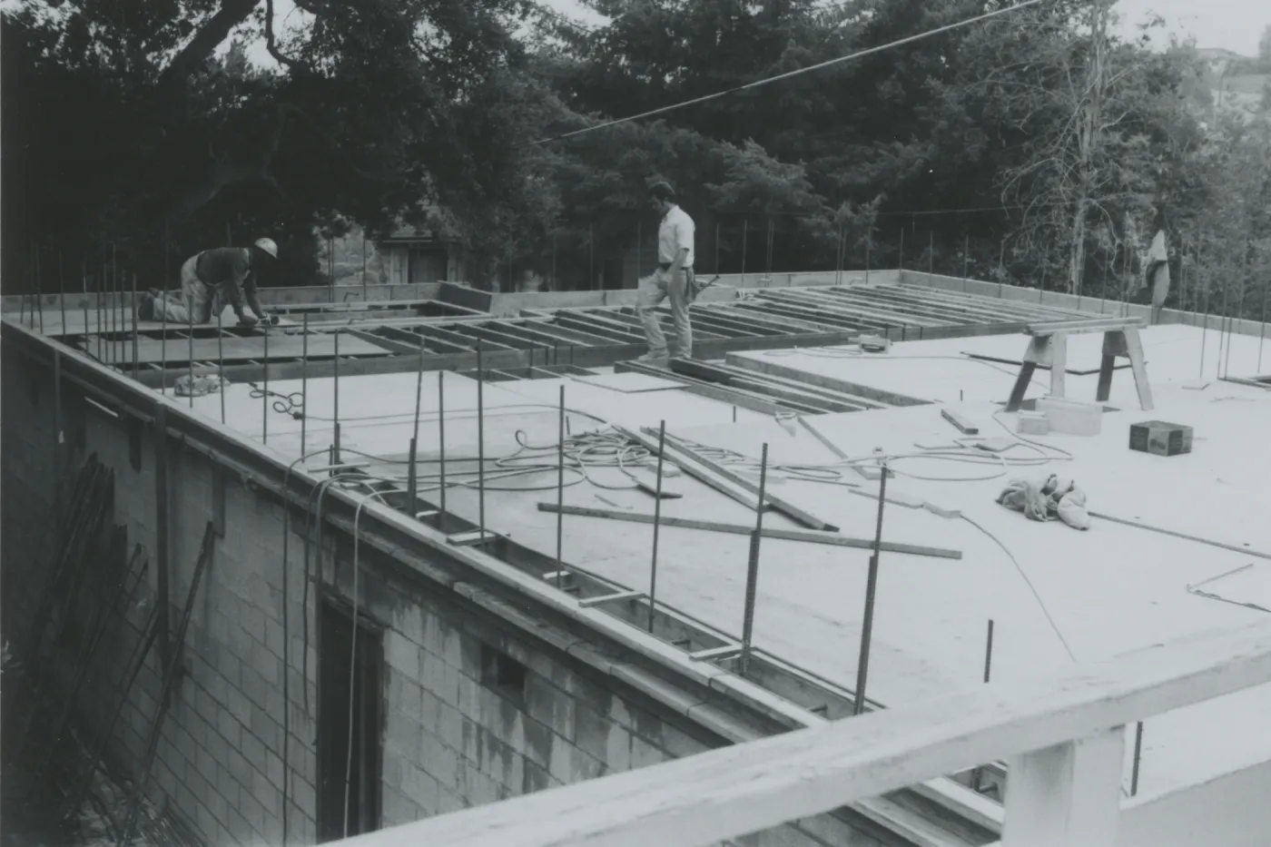 Herbarium construction taken from library