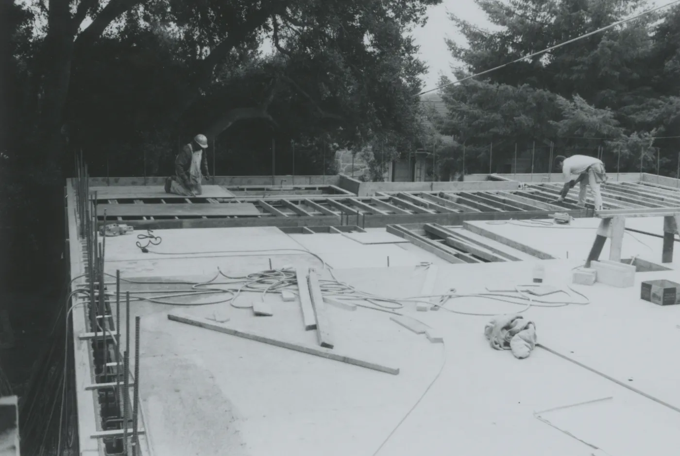Herbarium construction