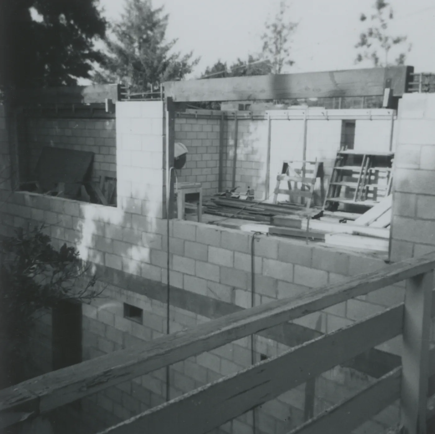 Herbarium construction