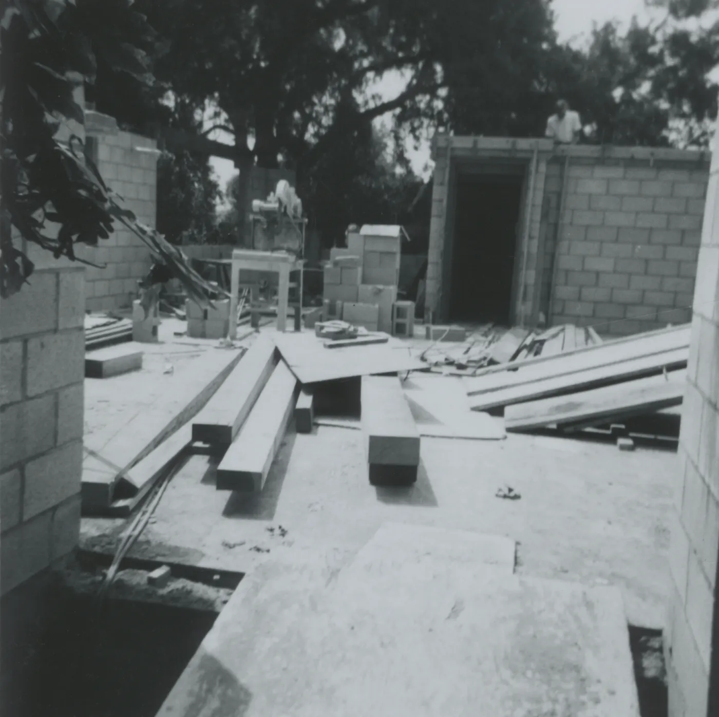 Herbarium construction