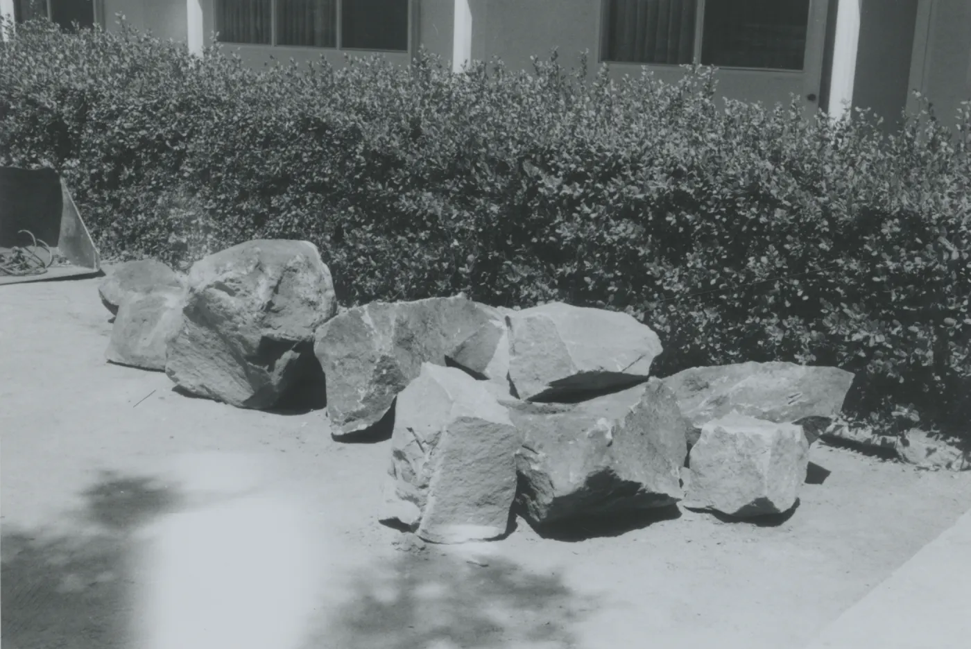 rocks, Herbarium construction