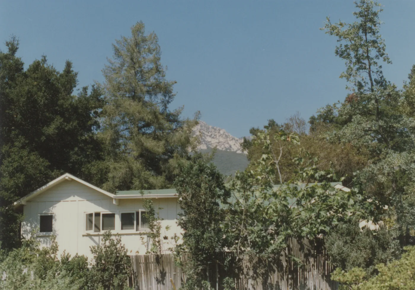 south side of Cottage