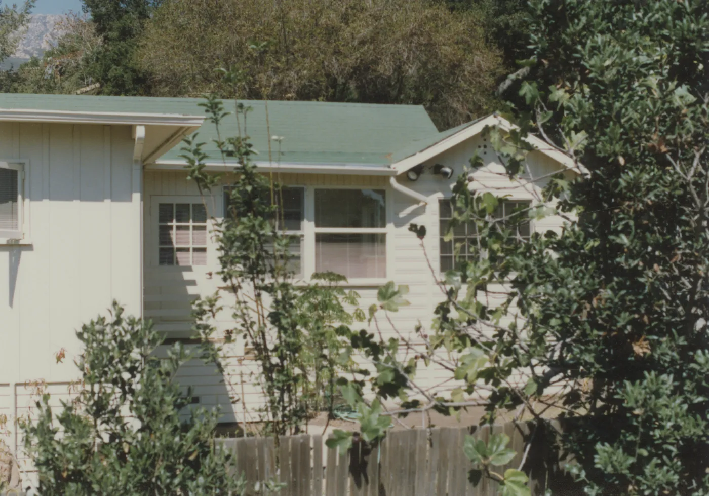 Cottage and garden