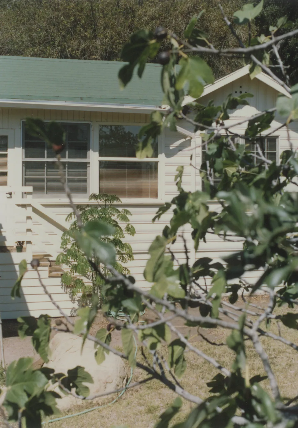 Cottage and garden