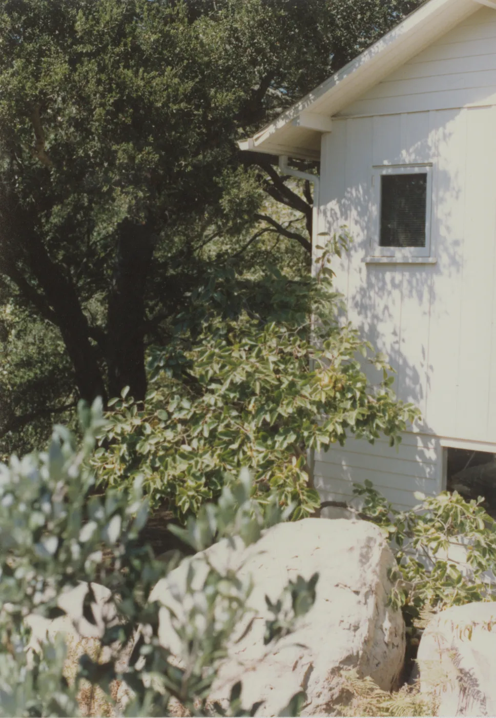 Cottage and garden