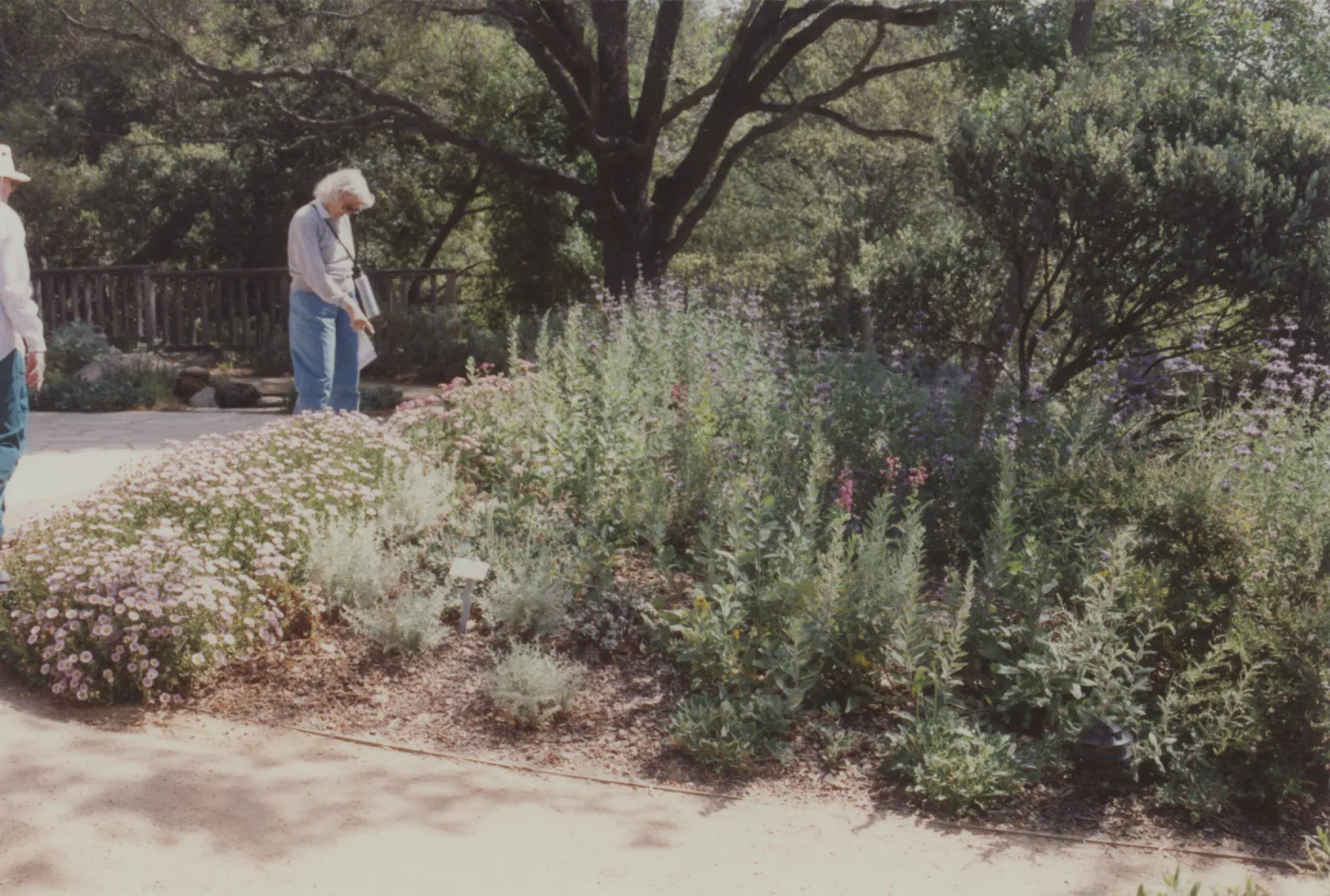 Home Demonstration Garden