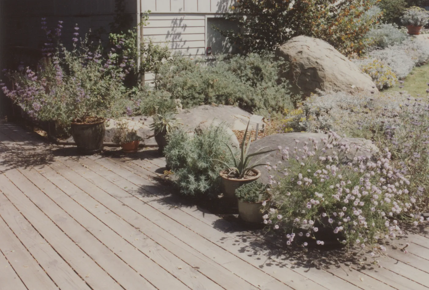Home Demonstration Garden