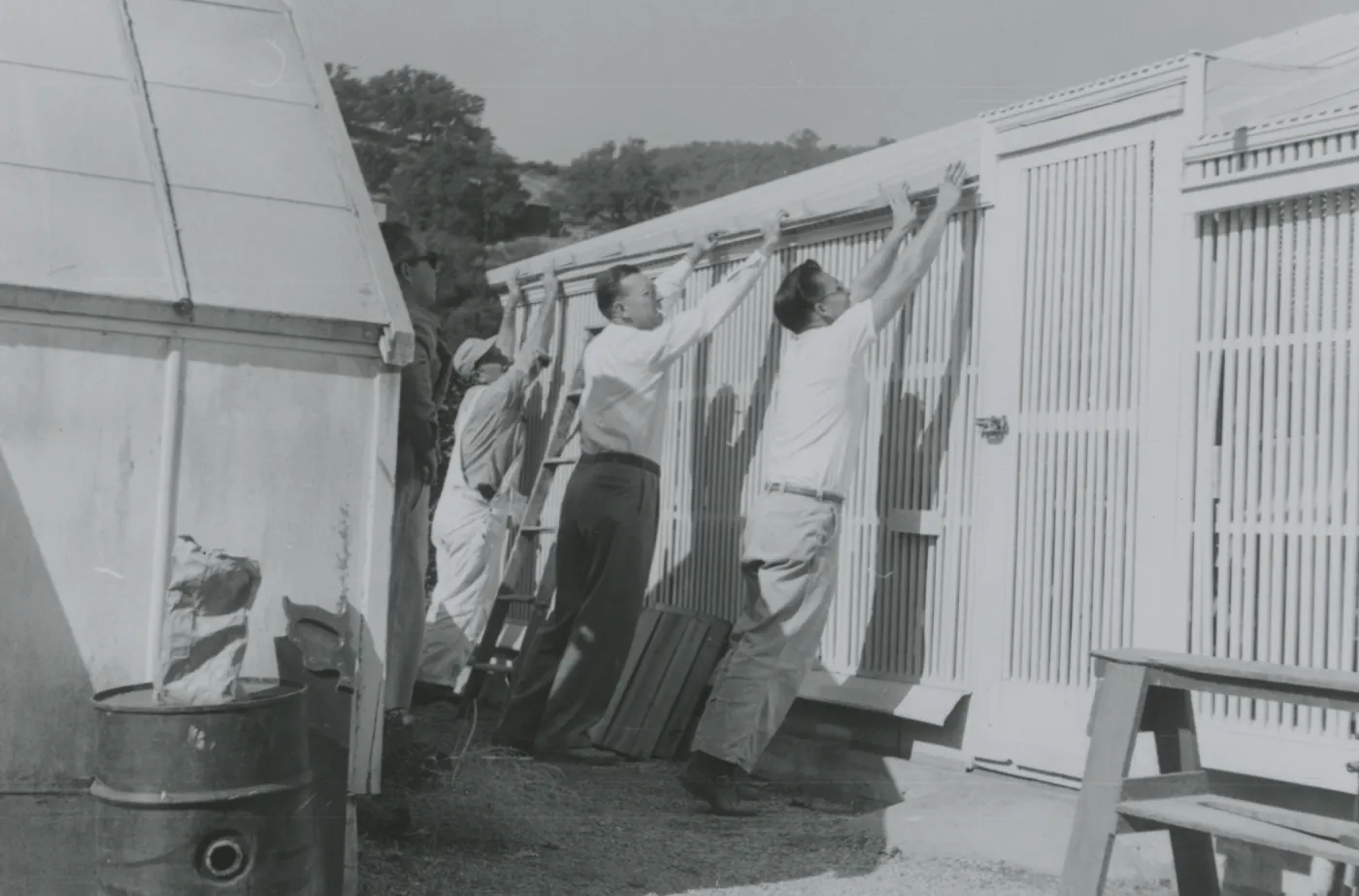 Lath House construction