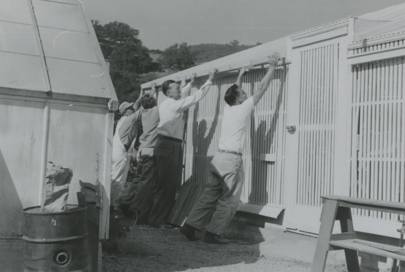 Lath House construction