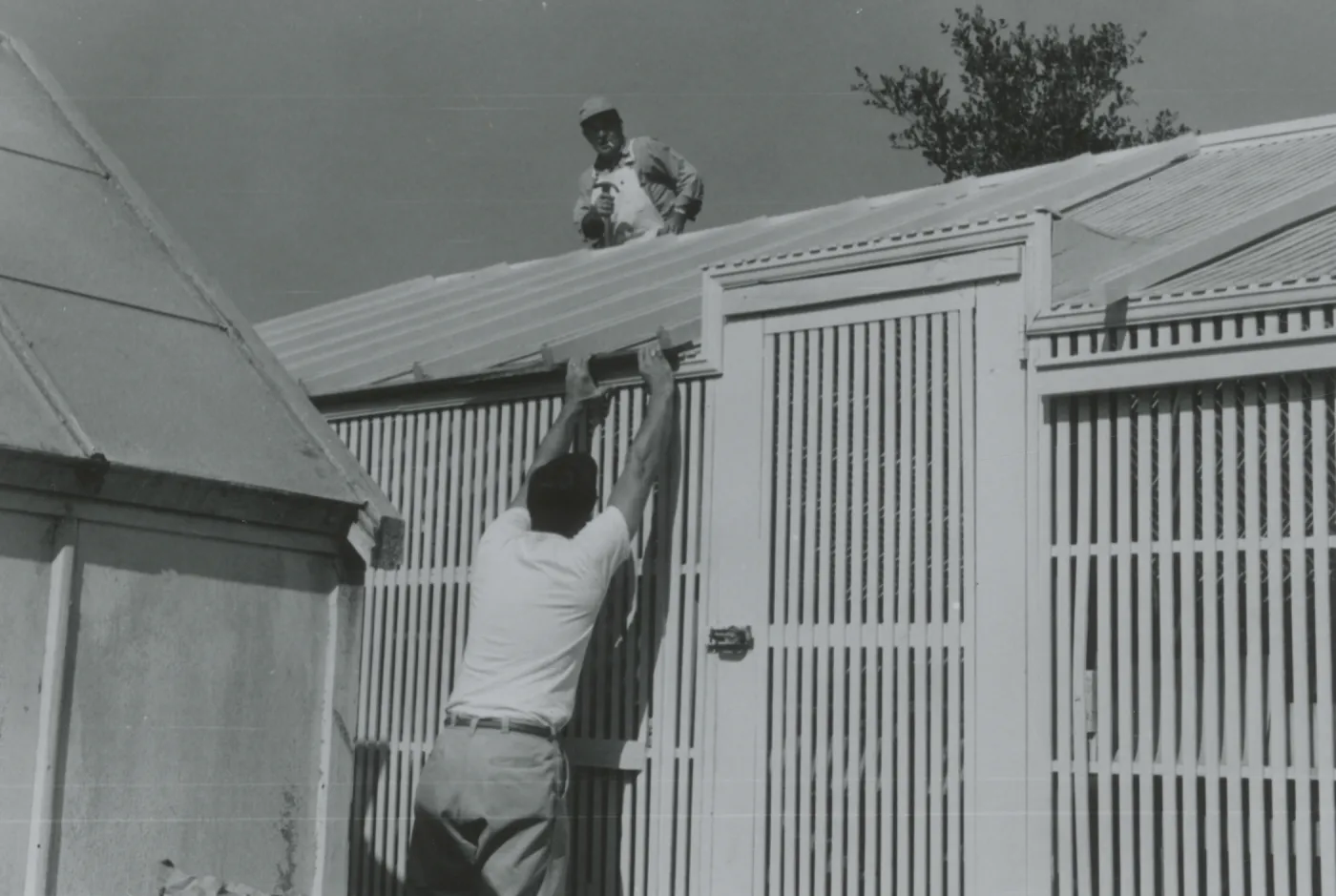 Lath House construction