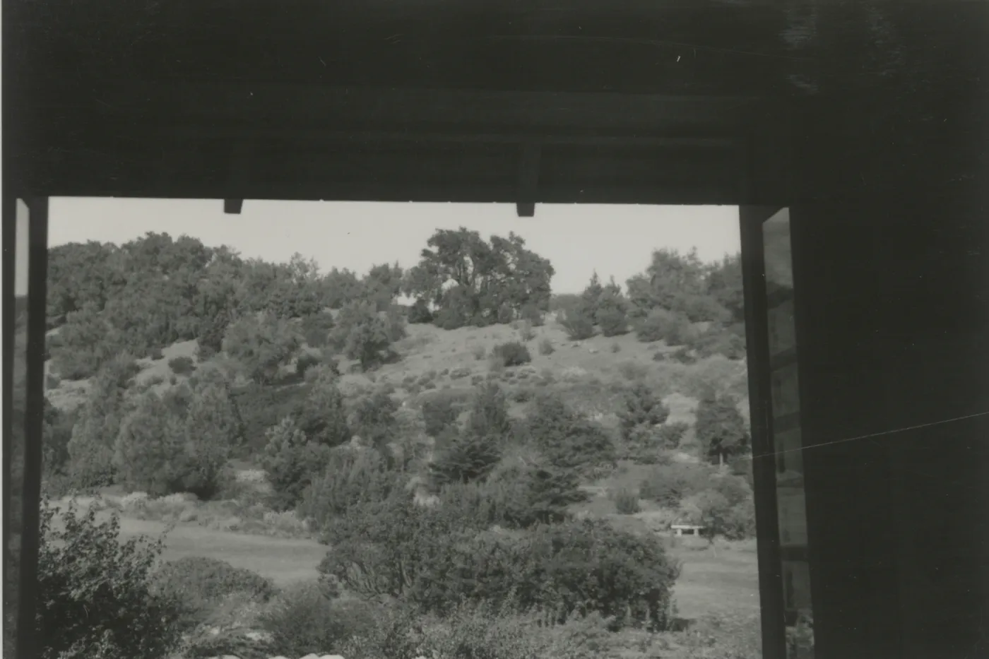 View of Meadow from Information Kiosk