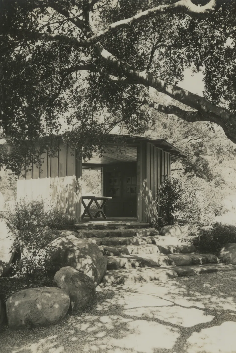 Information Kiosk (Coastal Live Oak)
