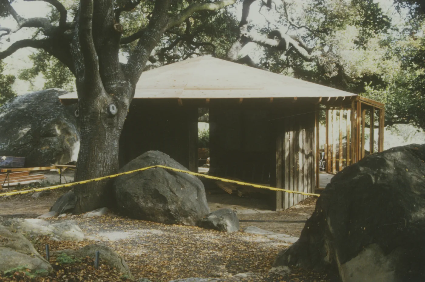 Information Kiosk, 1993 reconstruction (Coastal Live Oak)