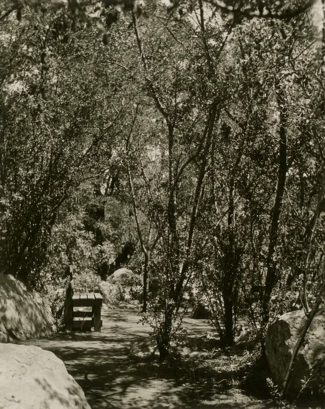 wood bench