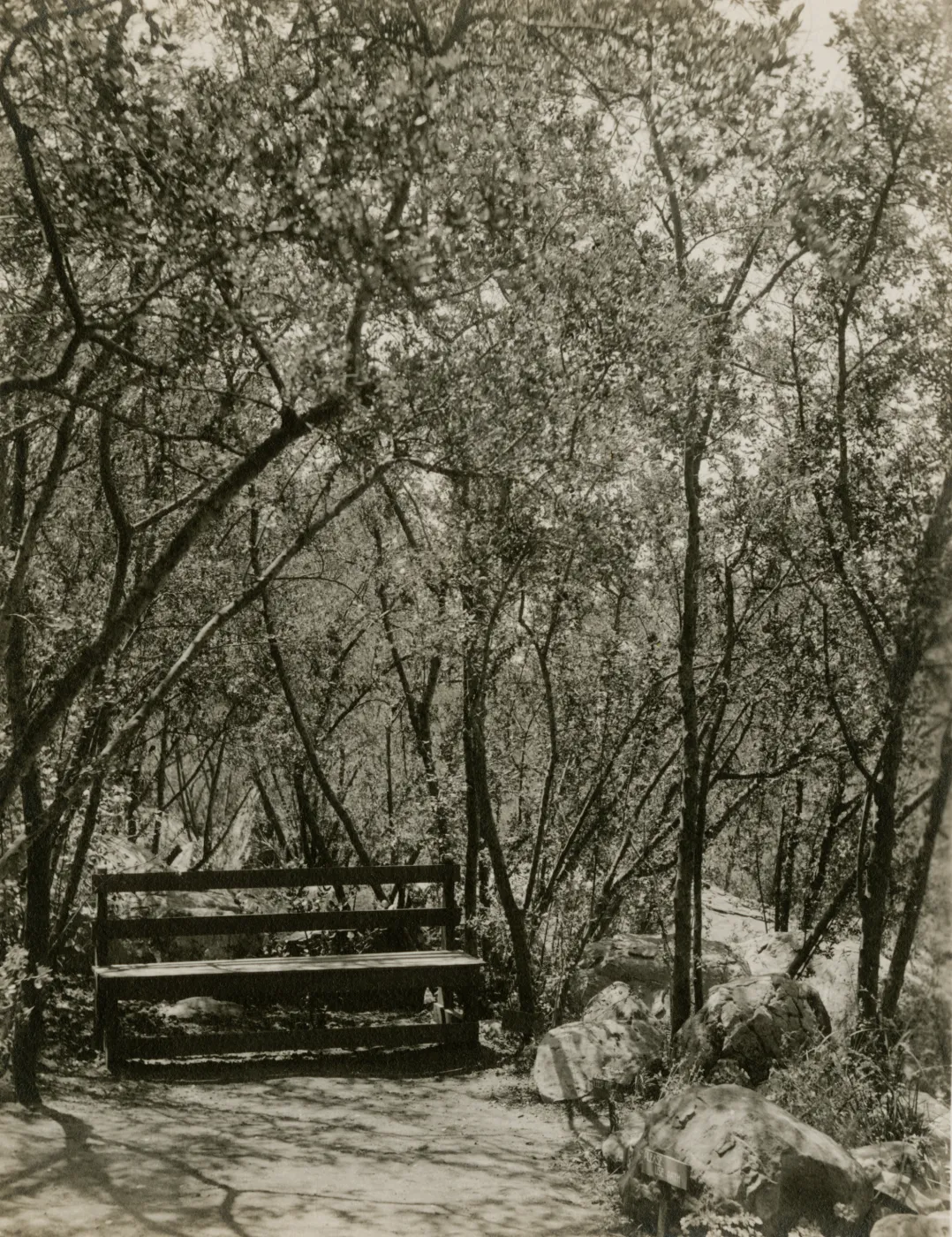 wood bench