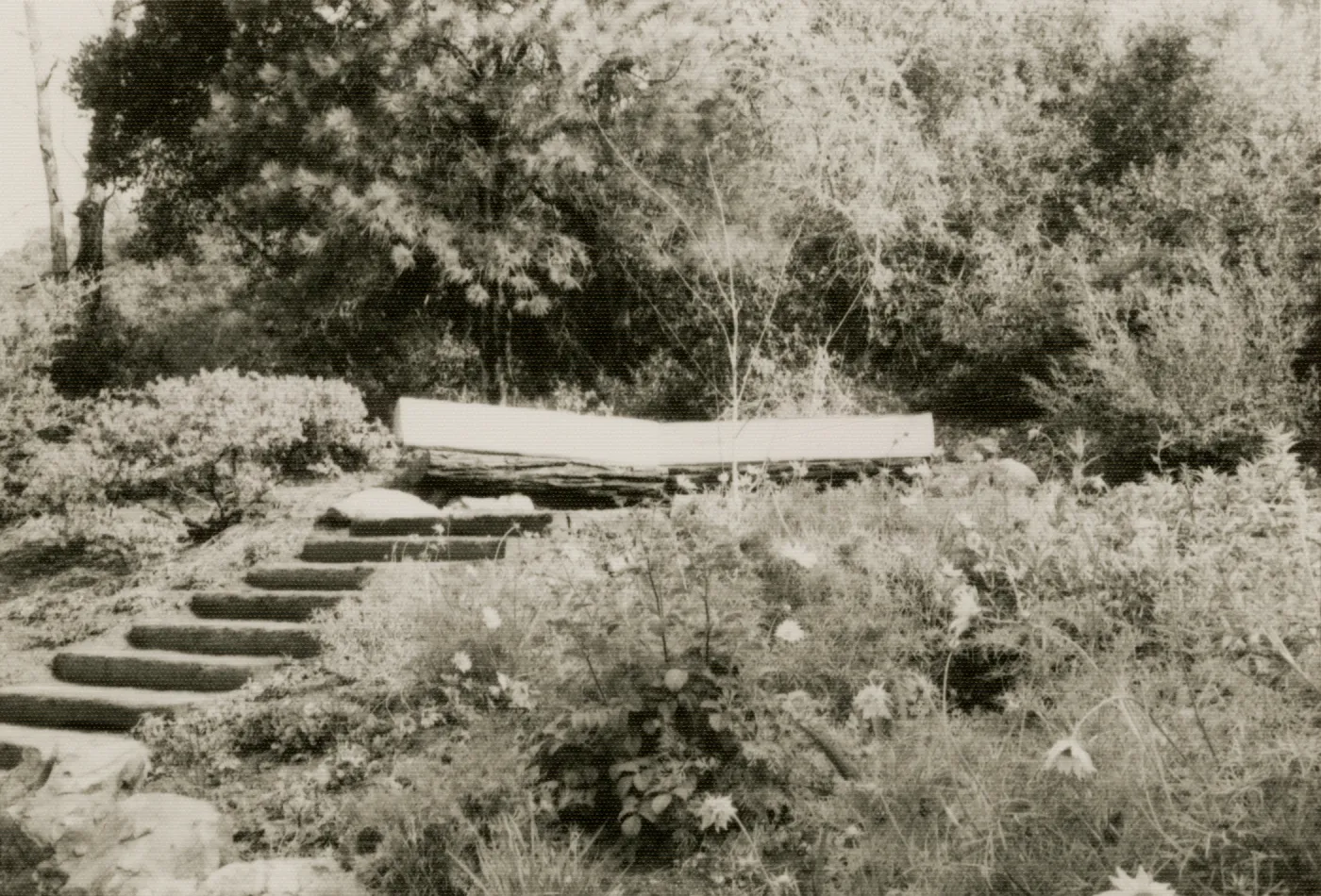 wood bench in Meadow View garden