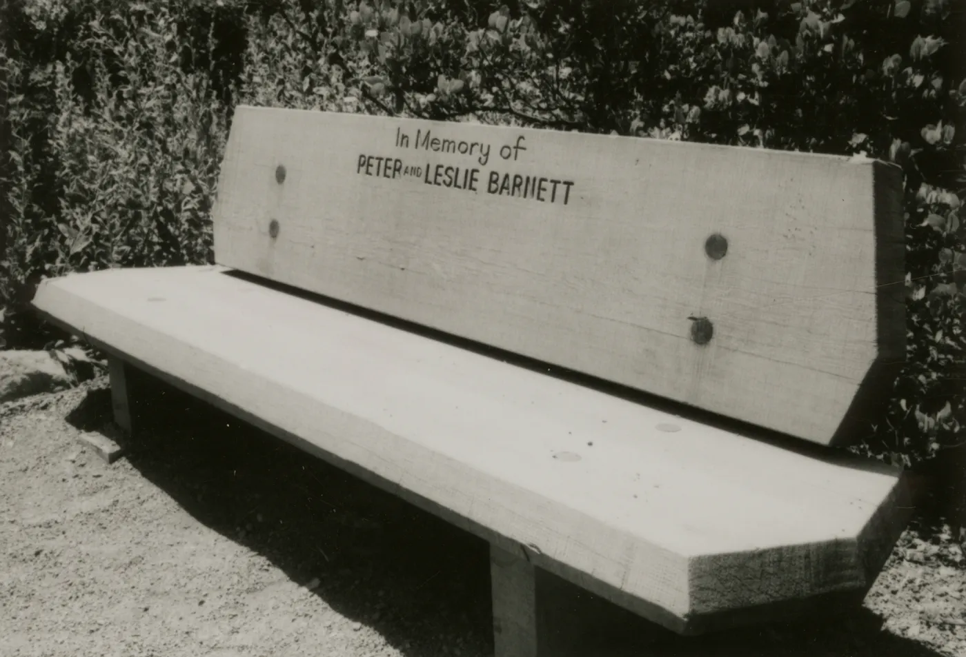 wood bench 'in Memory of Peter and Leslie Barnett'