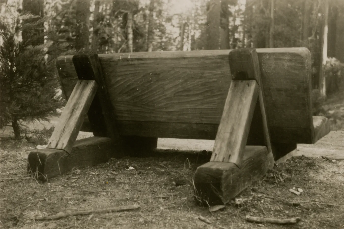 redwood bench prototype, Yosemite