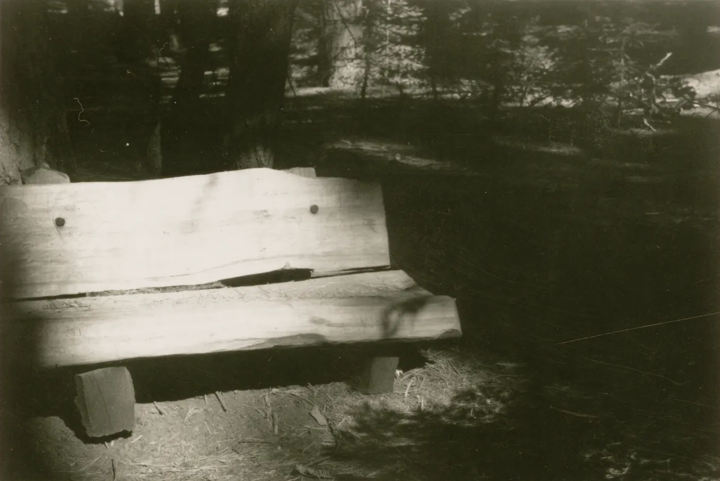 redwood bench prototype, Yosemite