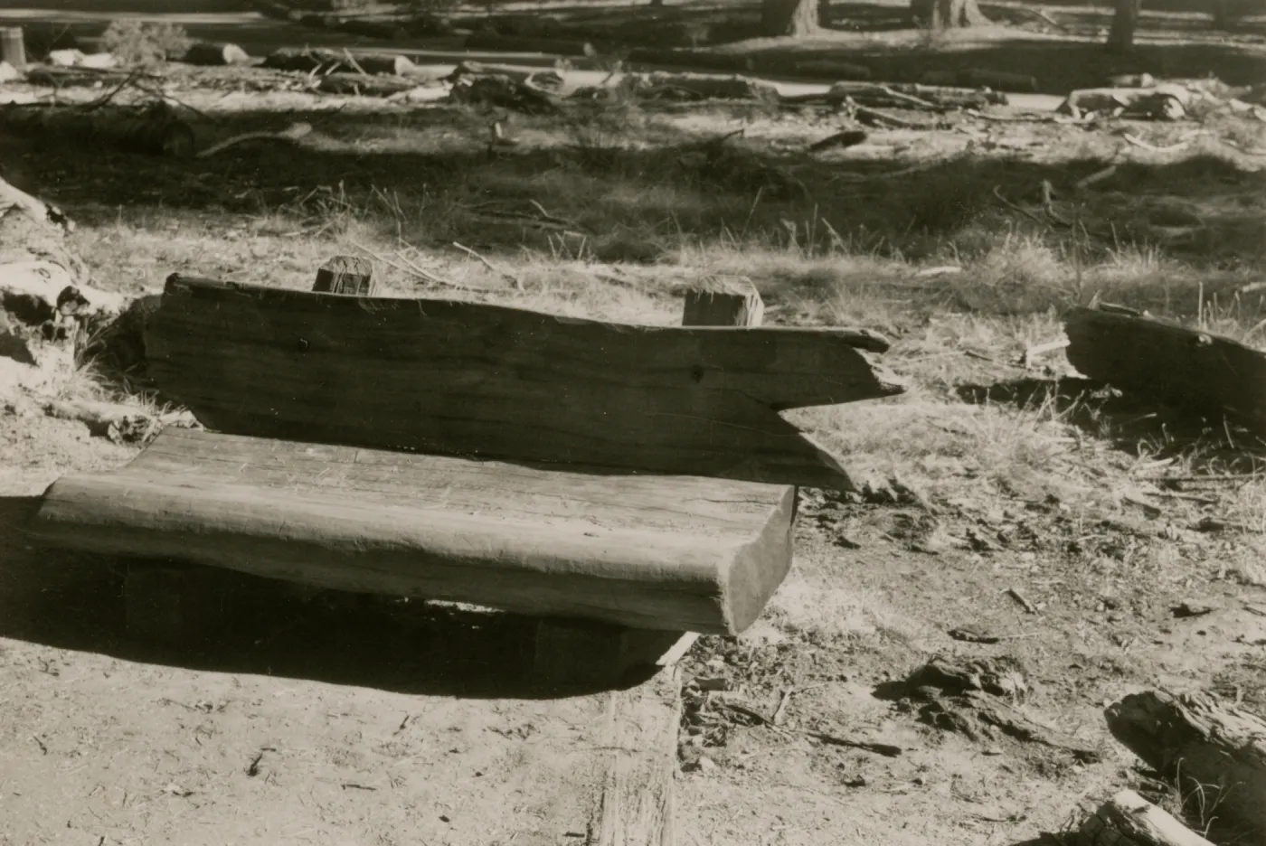 redwood bench prototype, Yosemite
