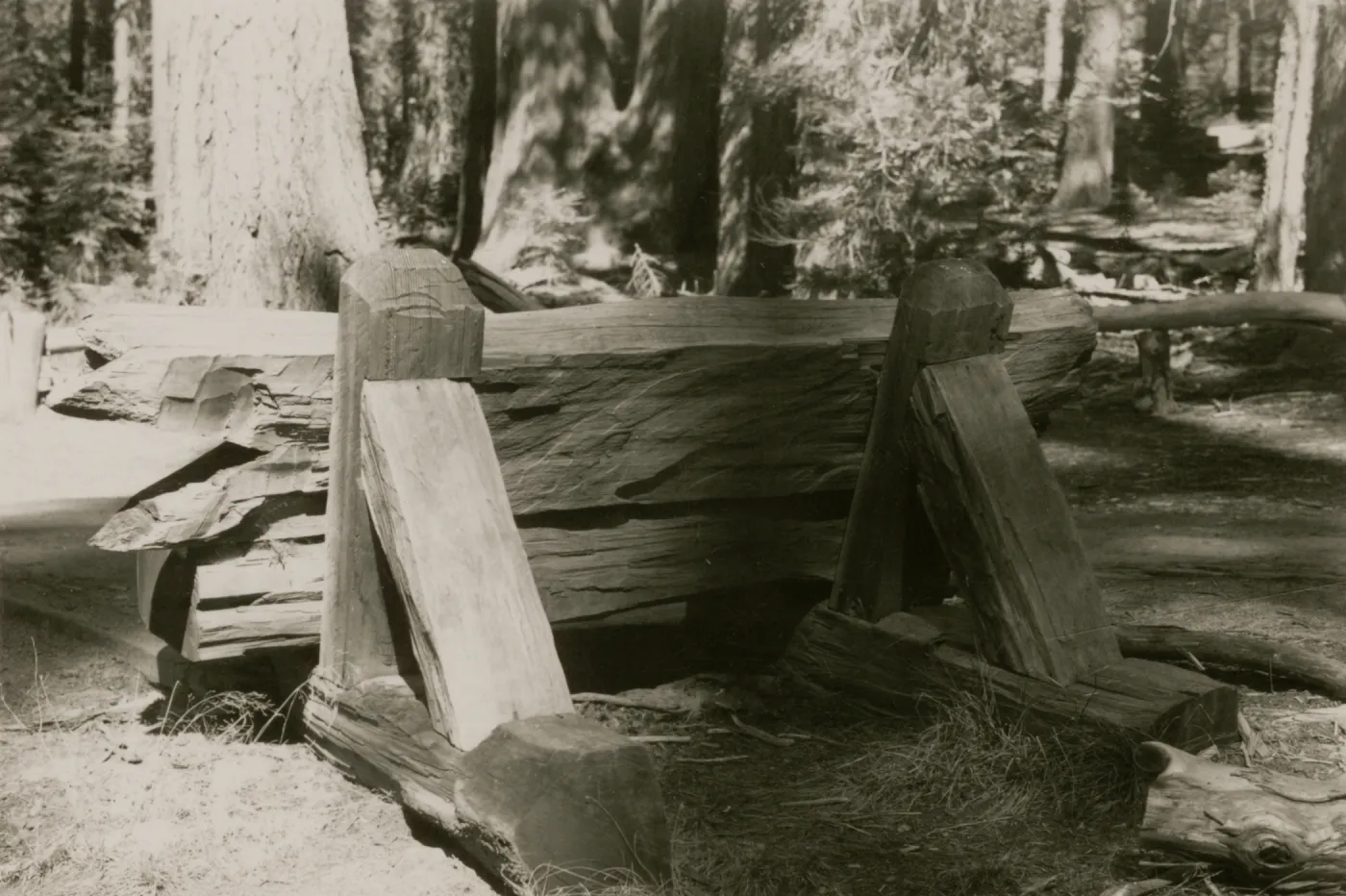 redwood bench prototype, Yosemite