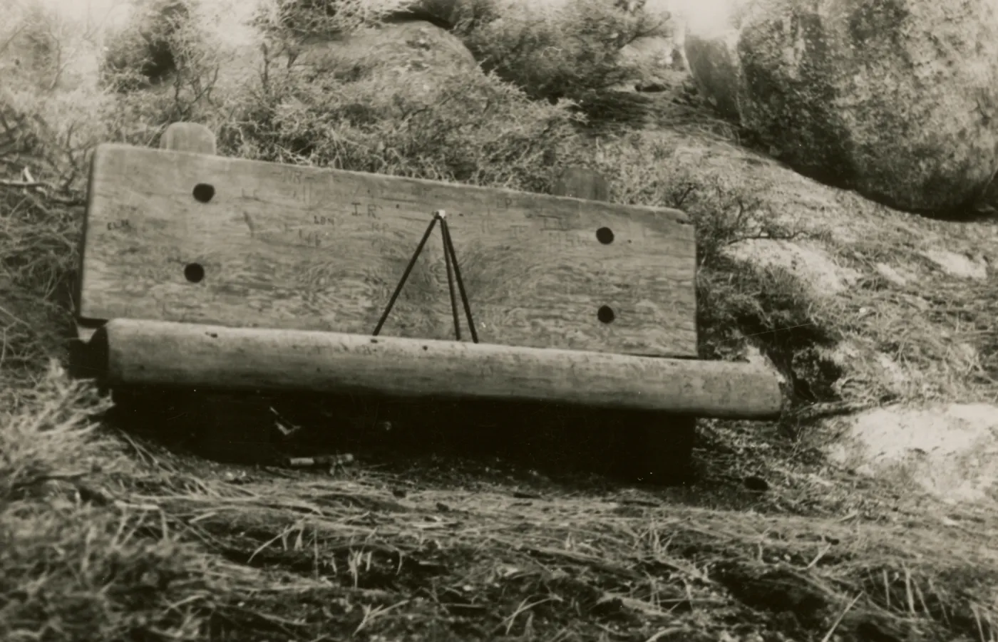 redwood bench prototype, Yosemite