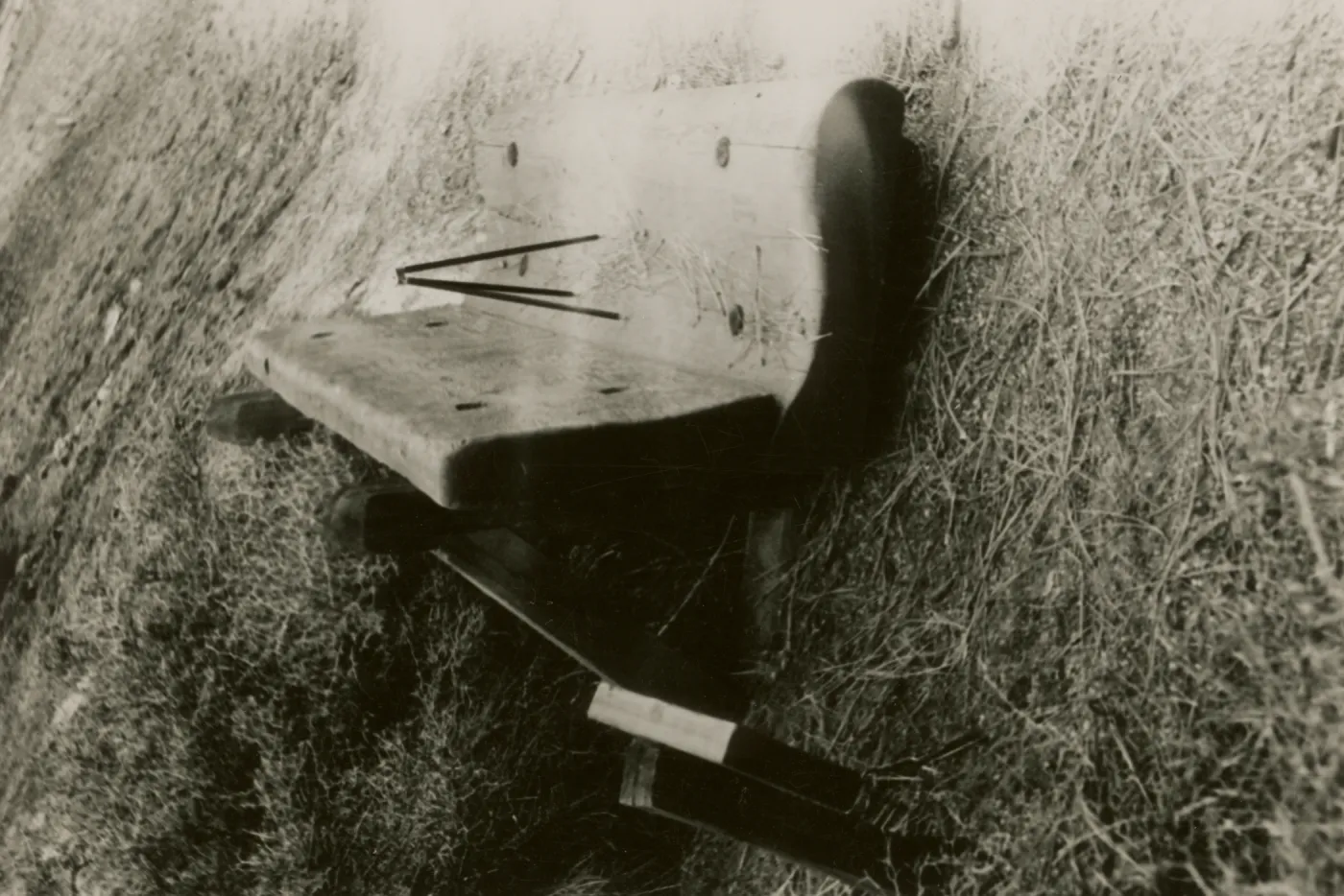 redwood bench prototype, Yosemite
