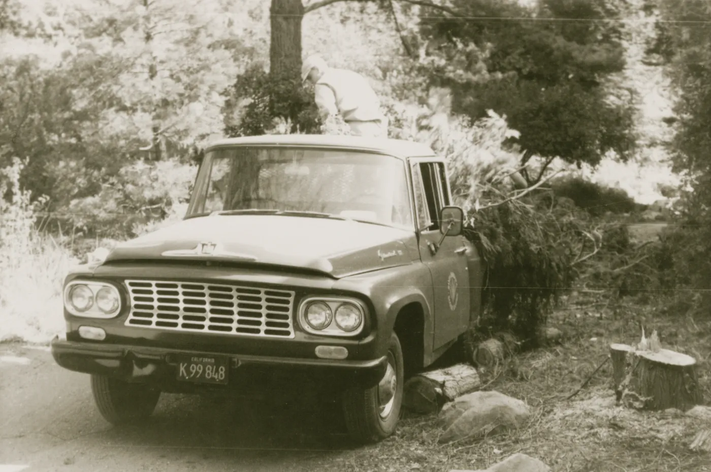 Tree removal, garden pickup truck