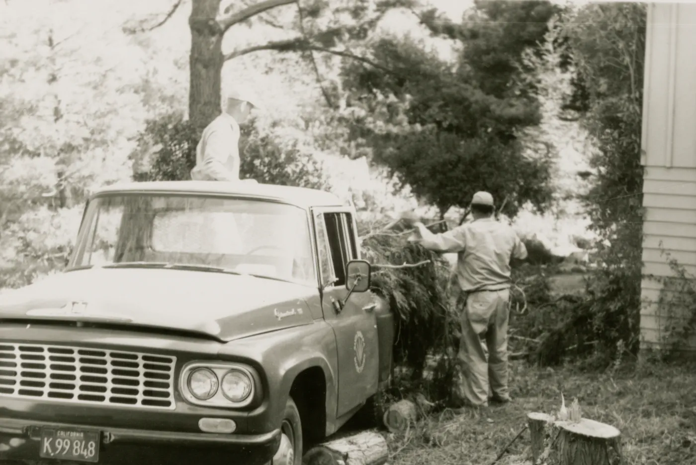 Tree removal, Garden pickup truck