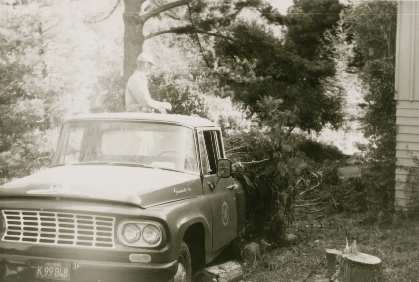 Tree removal, Garden pickup truck
